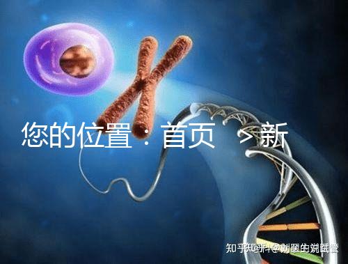 您的位置:首頁 >新聞中心>醫院動態