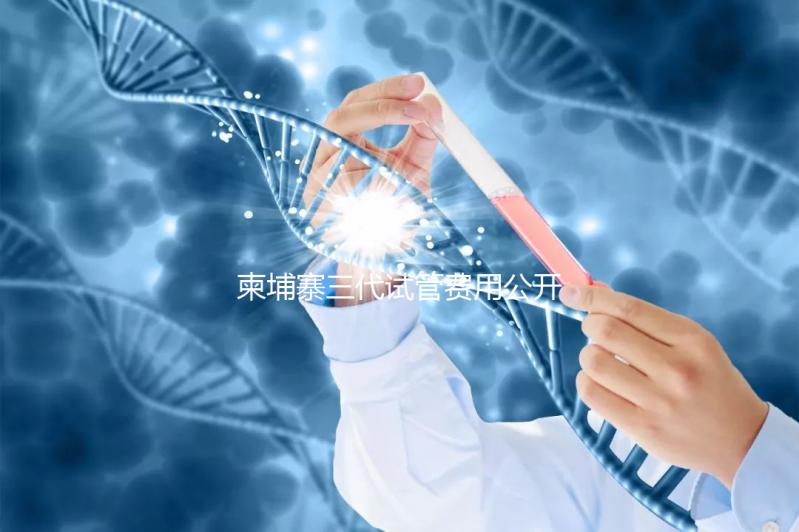 柬埔寨三代試管費用公開，不同項目價格不同