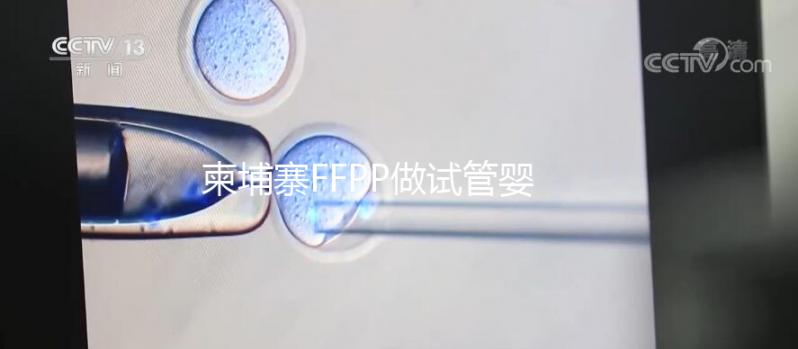 柬埔寨FFPP做試管嬰兒不“包成功”，小心不良中介套路