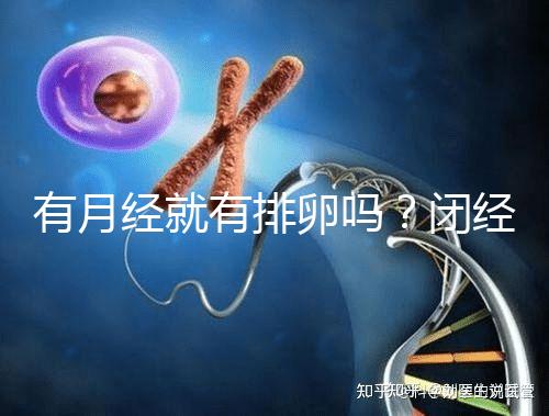 有月經就有排卵嗎？閉經、絕經還能做試管嬰兒嗎？