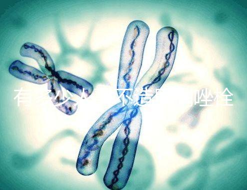 有多少人戳不造甲硝唑栓,對(duì)神經(jīng)損傷請(qǐng)慎用