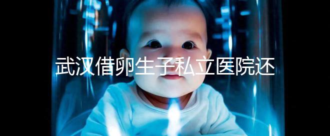 武漢借卵生子私立醫院還得看這幾家，協和、同濟醫院上榜