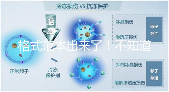 格式范本出來了！不知道出生證明遺失申請書怎么寫看這兒