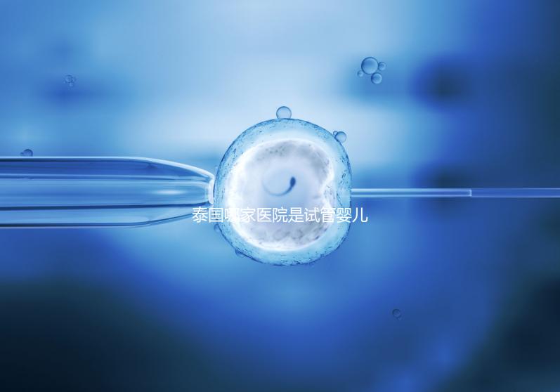 泰國(guó)哪家醫(yī)院是試管嬰兒最強(qiáng)大的醫(yī)院？這五家公司最受歡迎