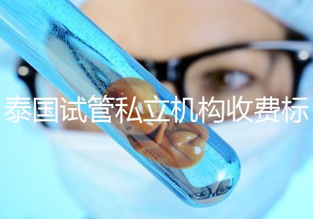 泰國(guó)試管私立機(jī)構(gòu)收費(fèi)標(biāo)準(zhǔn)公開,收費(fèi)透明,可靠