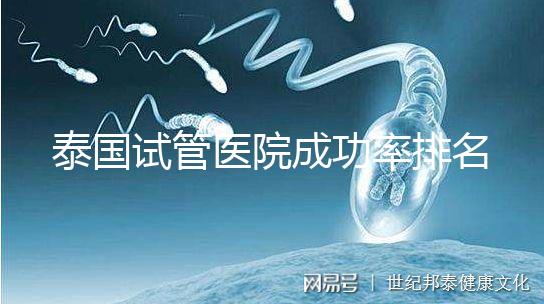 泰國試管醫(yī)院成功率排名公布,這些詳細(xì)介紹,為您提供選擇參考!