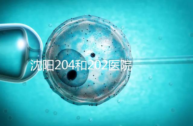 沈陽(yáng)204和202醫(yī)院哪個(gè)好？東港市做過(guò)試管嬰兒的姐妹這樣說(shuō)