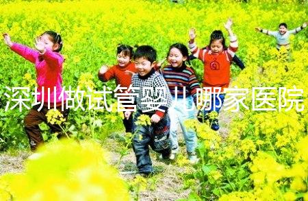 深圳做試管嬰兒哪家醫院好？深圳公立三甲試管嬰兒醫院大全