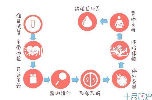 深圳最新獨生子女政策已出爐,羅湖、南山區補貼金均有提高