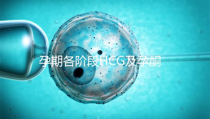 孕期各階段HCG及孕酮對(duì)照表，孕初期就要評(píng)估懷孕指標(biāo)