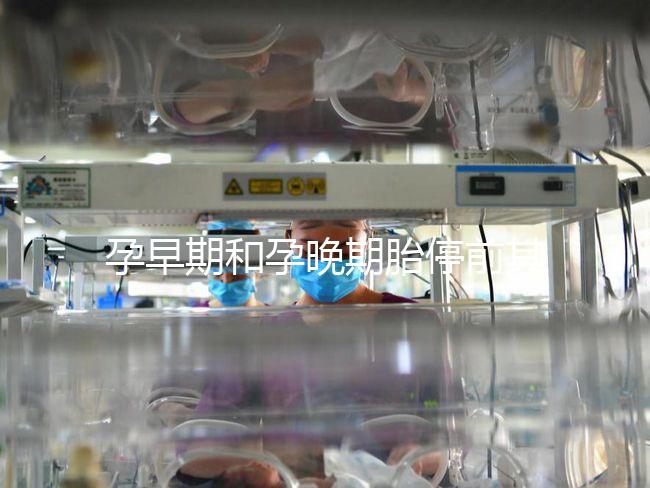 孕早期和孕晚期胎停前其實都有暗示信號，身體不會騙人