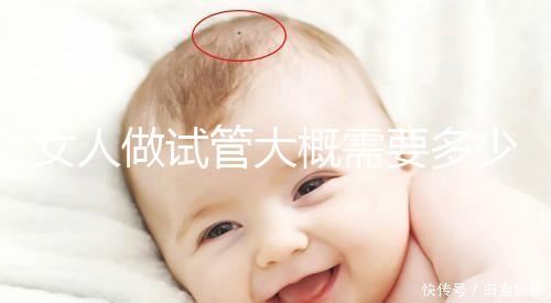 女人做試管大概需要多少錢（女人做試管大概需要多少錢2024年）