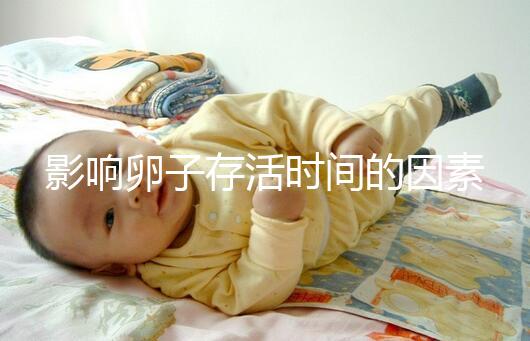 影響卵子存活時間的因素剖析：年齡起主導作用