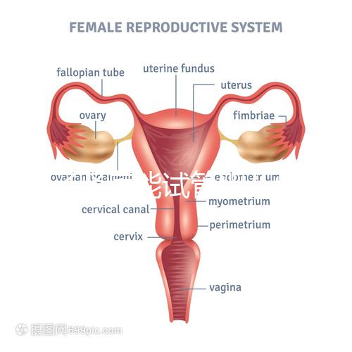 得了腎病能試管嬰兒懷孕嗎？哪些腎臟病不適宜懷孕？