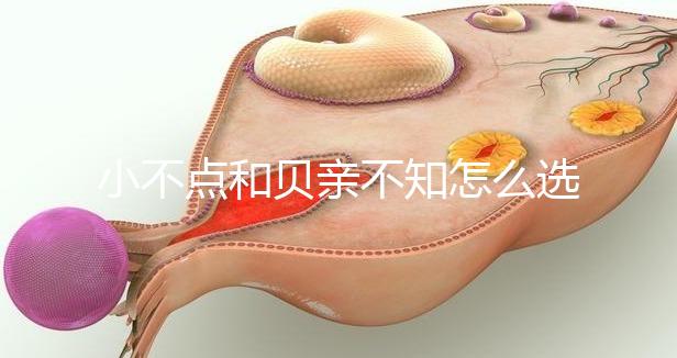 小不點和貝親不知怎么選，挑選一款合適的奶瓶有技巧