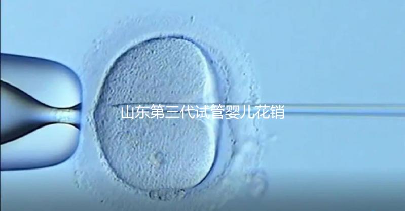山東第三代試管嬰兒花銷全解析:詳細價格一覽,輕松做好預算準備