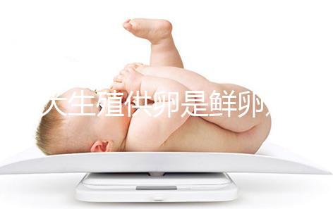 山大生殖供卵是鮮卵還是凍卵分情況，別還不清楚質量如何