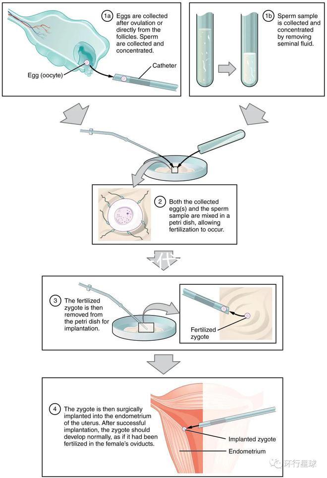 廣東10家三代試管醫院的熱度排名！