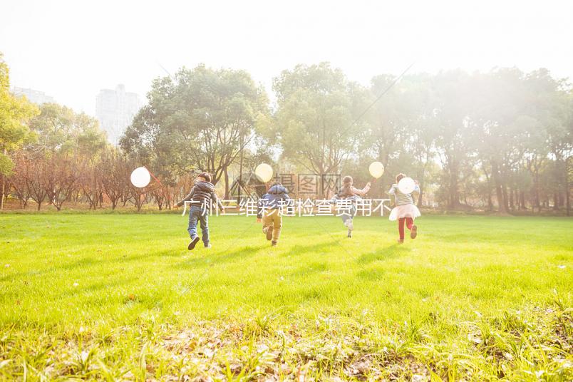 廣州三維彩超檢查費用不便宜,能否走生育險先了解下