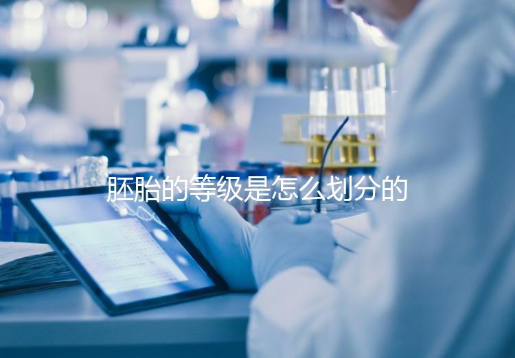 胚胎的等級(jí)是怎么劃分的?詳解3天胚胎與5天囊胚的評(píng)估標(biāo)準(zhǔn)