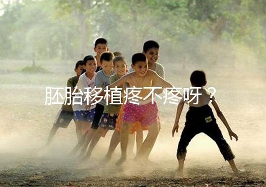 胚胎移植疼不疼呀？