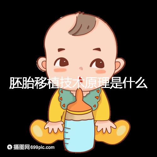 胚胎移植技術原理是什么?