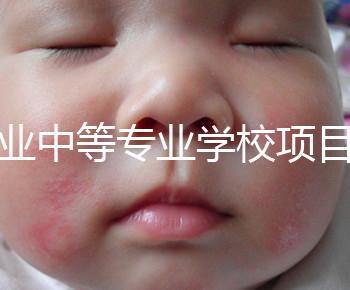 職業(yè)中等專業(yè)學校項目（中等職業(yè)學校專業(yè)建設(shè)規(guī)劃實施方案）