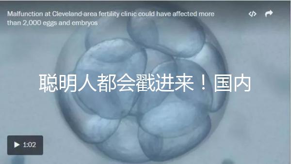 聰明人都會戳進來！國內試管嬰兒和泰國試管嬰兒優缺對比