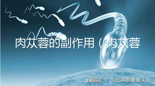 肉蓯蓉的副作用(肉蓯蓉會(huì)傷肝嗎)