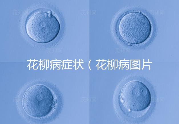 花柳病癥狀（花柳病圖片初期）