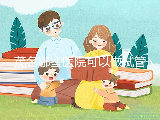 茂名哪些醫院可以做試管嬰兒？擔心成功率低可以選擇這里