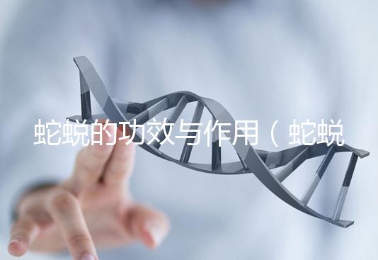 蛇蛻的功效與作用（蛇蛻壯陽的功效）