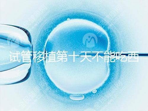 試管移植第十天不能吃西瓜!影響胚胎發育可不是玩笑話