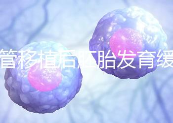 試管移植后胚胎發(fā)育緩慢，甚至胎停咋回事？3大高危因素要規(guī)避