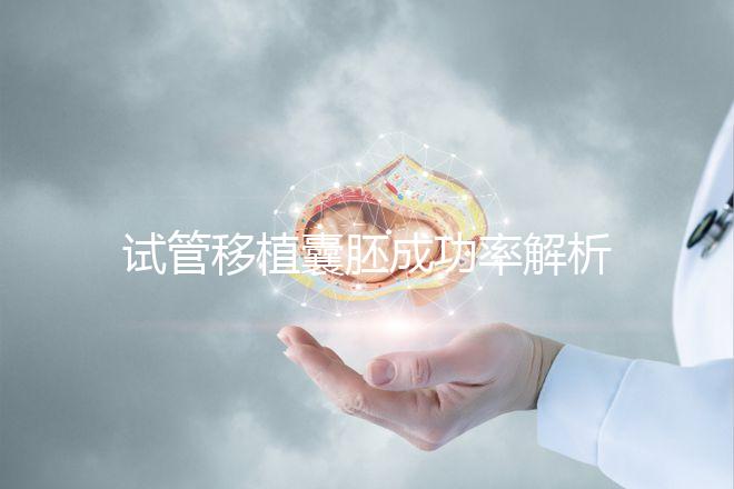 試管移植囊胚成功率解析:年齡與胚胎質(zhì)量成關(guān)鍵因素
