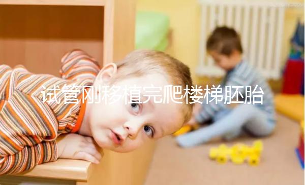 試管剛移植完爬樓梯胚胎會(huì)掉出來是謠言!這3大影響了解下