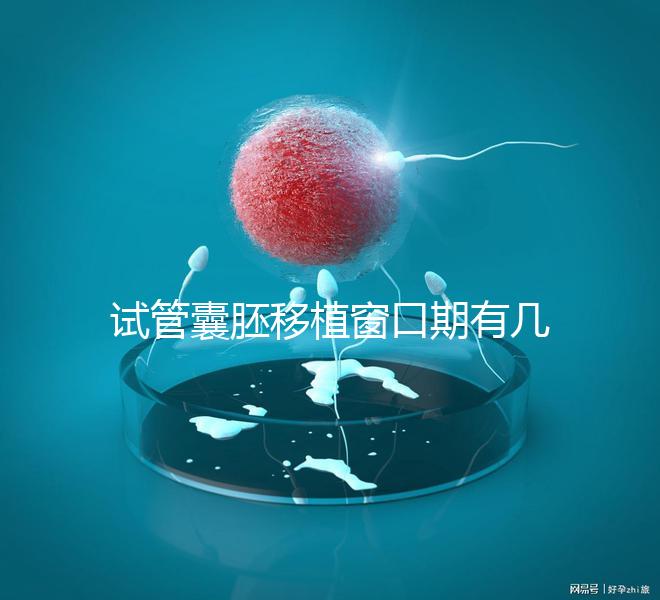 試管囊胚移植窗口期有幾天看這，弄明白什么時候更易著床