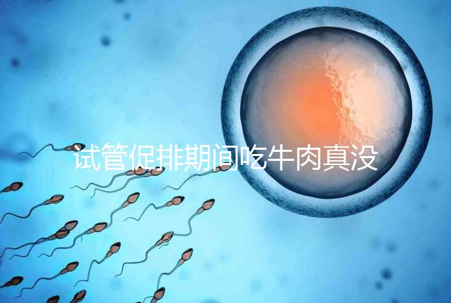 試管促排期間吃牛肉真沒影響，關鍵在于是火鍋還是牛肉干