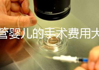 試管嬰兒的手術(shù)費用大概是多少?