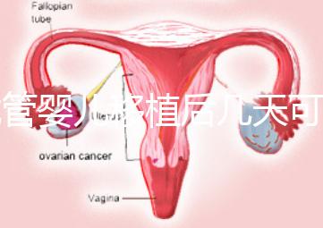 試管嬰兒移植后幾天可以測懷孕？