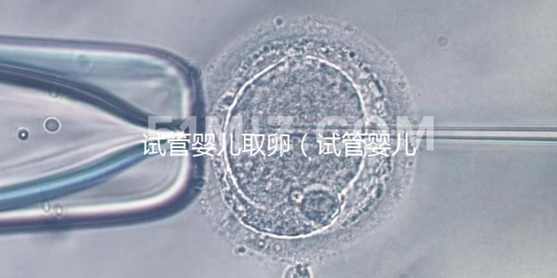 試管嬰兒取卵(試管嬰兒取卵時疼嗎)
