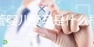 試管嬰兒受孕是什么樣的原理呢？