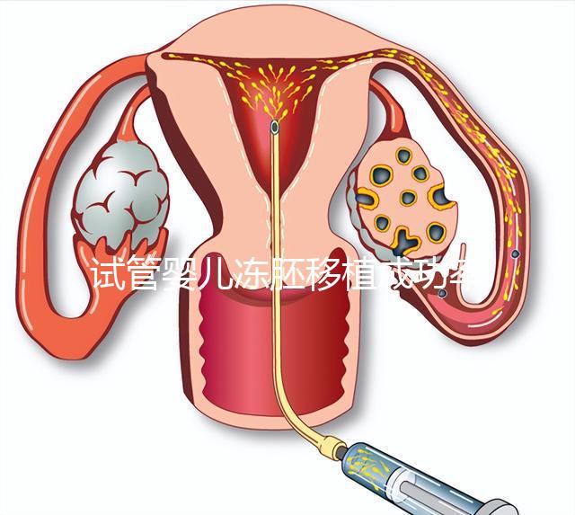 試管嬰兒凍胚移植成功率更高？凍胚和鮮胚有何不同？
