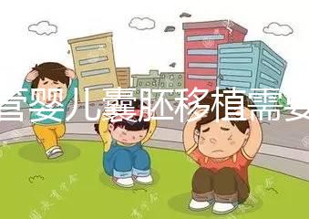 試管嬰兒囊胚移植需要滿足什么條件？