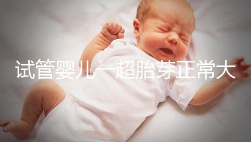 試管嬰兒一超胎芽正常大小不超這個數(shù)，2mm不一定會胎停