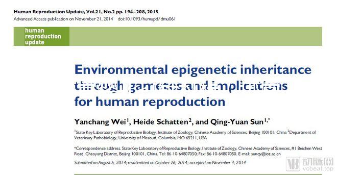 試管嬰兒打針過(guò)程(試管嬰兒打針過(guò)程視頻)