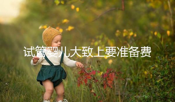 試管嬰兒大致上要準備費用是多少