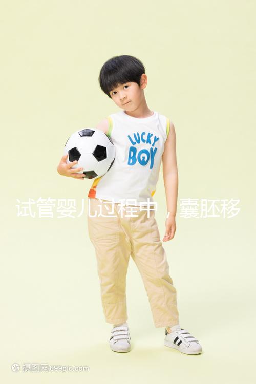 試管嬰兒過程中，囊胚移植和鮮胚移植到底哪個更好？