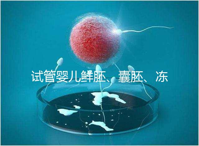 試管嬰兒鮮胚、囊胚、凍胚移植那個(gè)成功率最高？