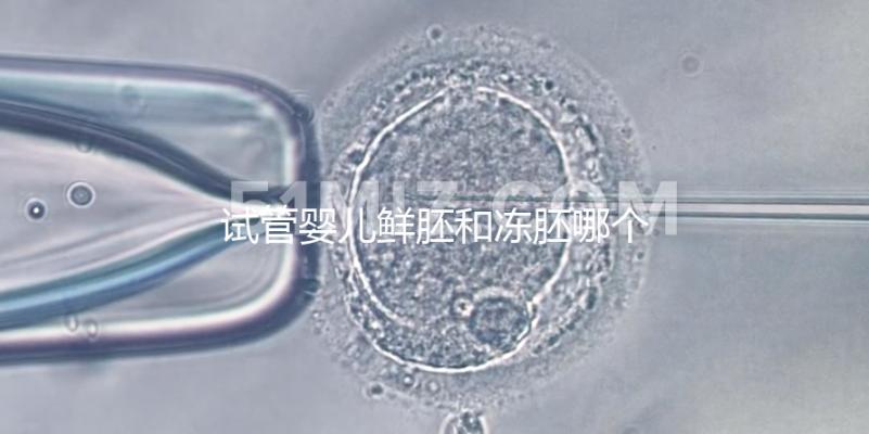 試管嬰兒鮮胚和凍胚哪個好(試管嬰兒鮮胚和凍胚哪個好一點)